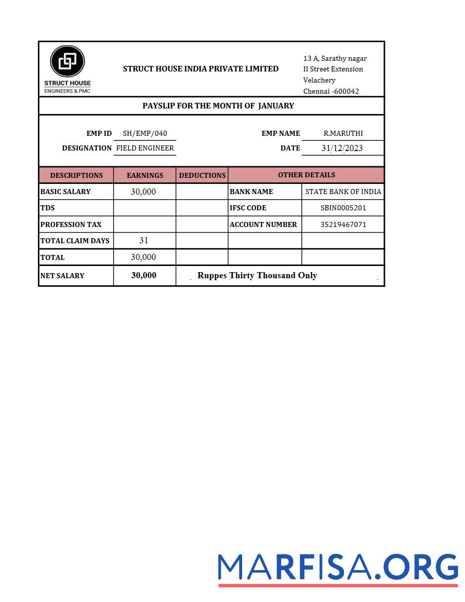 Blank Struct House India payslip sample